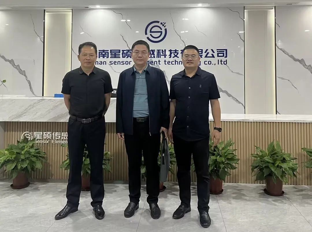 调研促发展 指导明方向|热烈欢迎各位领导莅临我司指导工作 - 湖南星硕传感科技有限公司